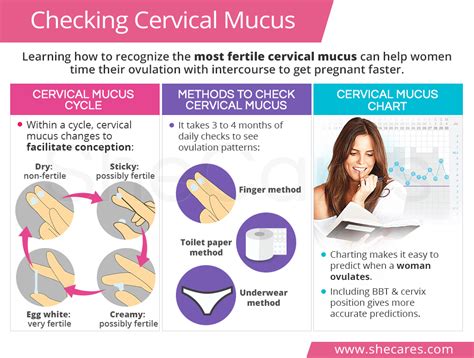 thick cervical mucus but negative ovulation test|fertility of cervical mucus chart.